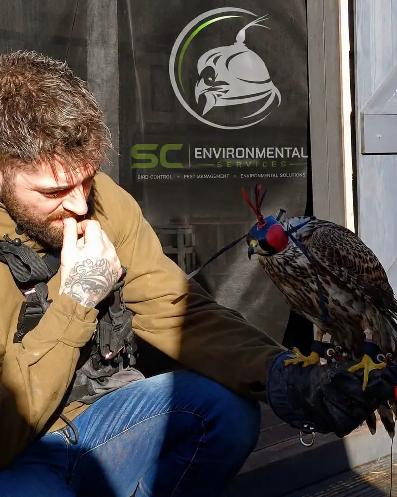 Steven Cooper with a hooded falcon on the glove, in front of the SC Environmental Services banner