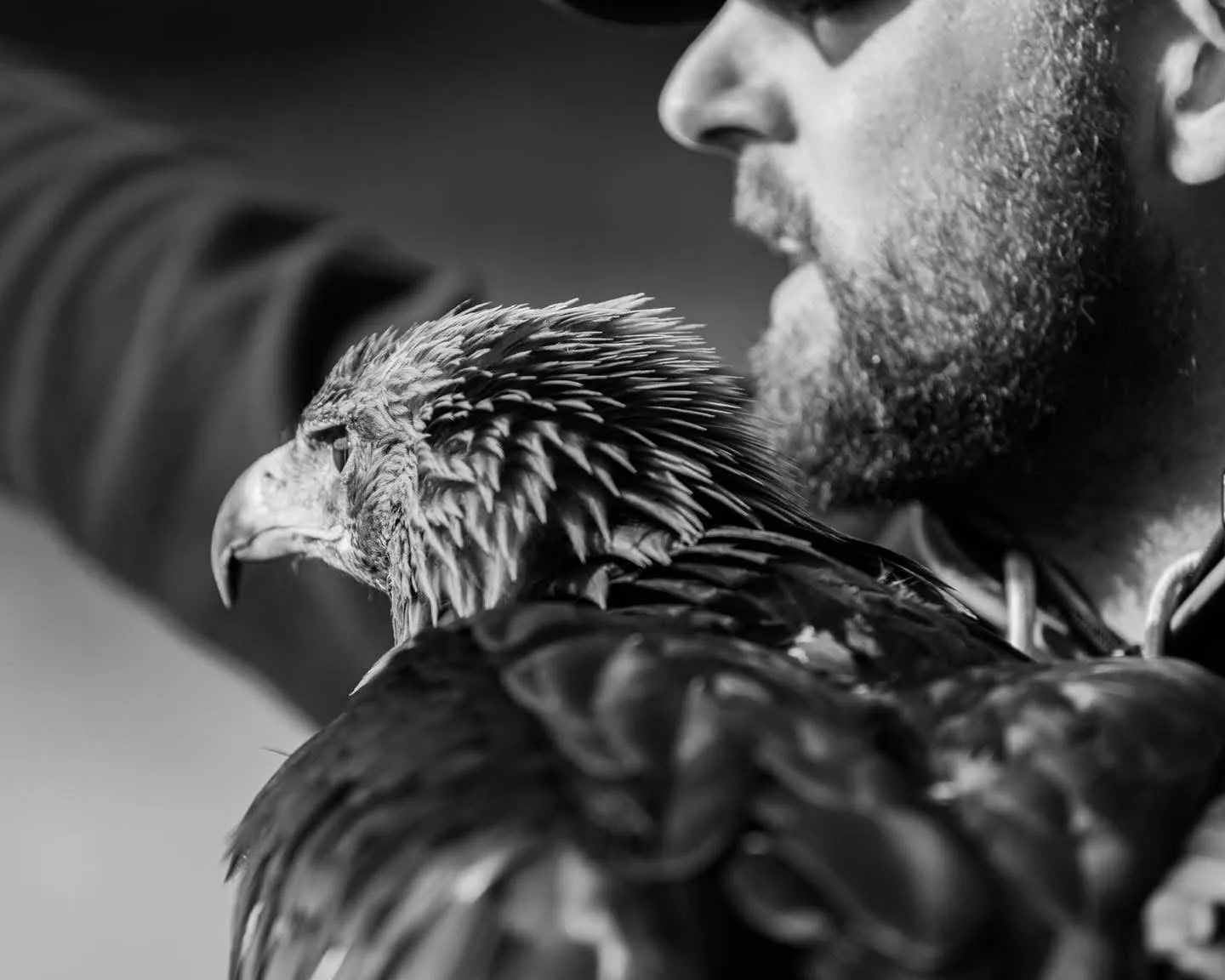 Steven Cooper with one of his birds of prey, in black and white